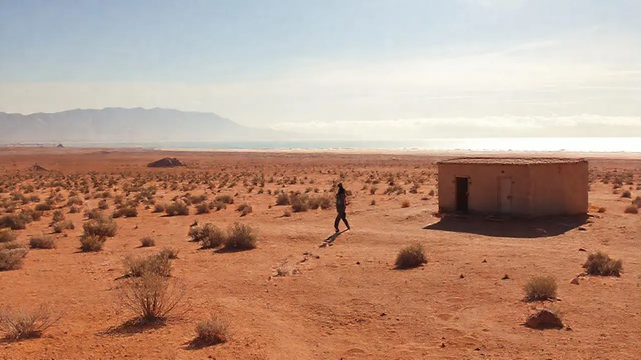 Desierto árido y tranquilo bajo el sol