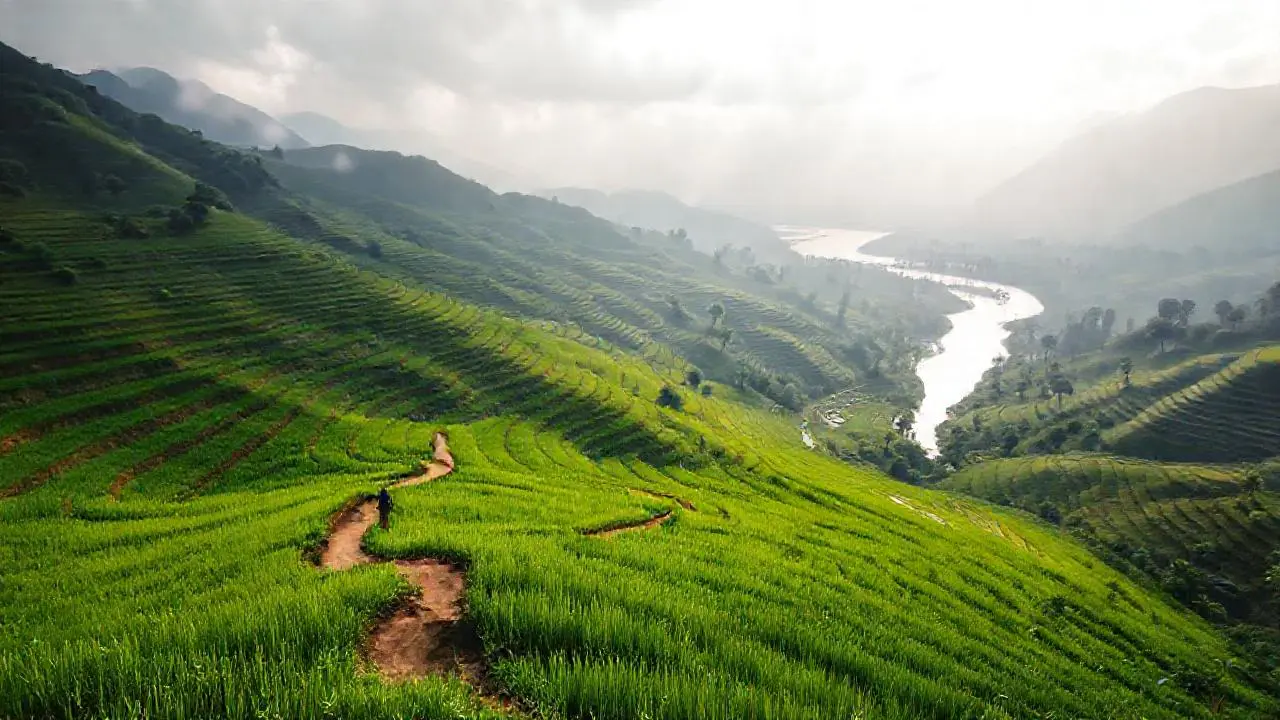 Un paisaje verde y sereno se extiende
