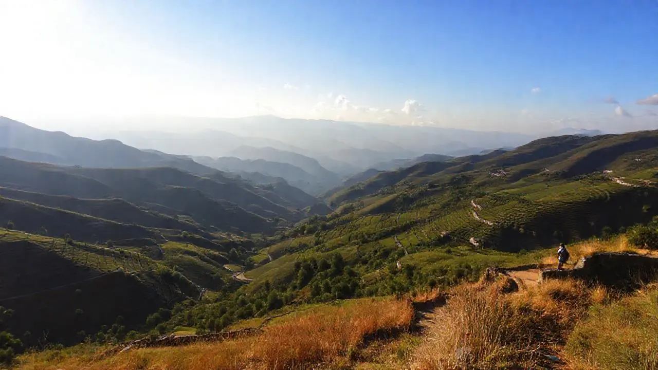Paz y vastedad en un paisaje sereno