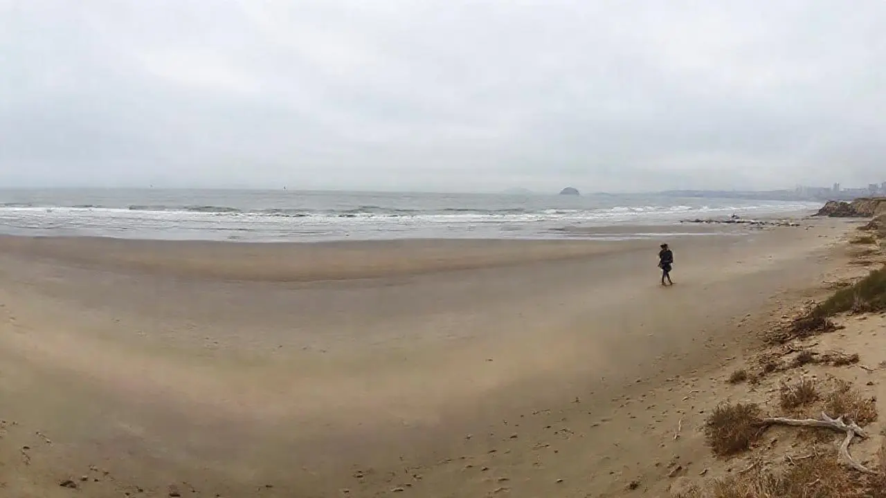 Costa serena, bruma, y mar distante