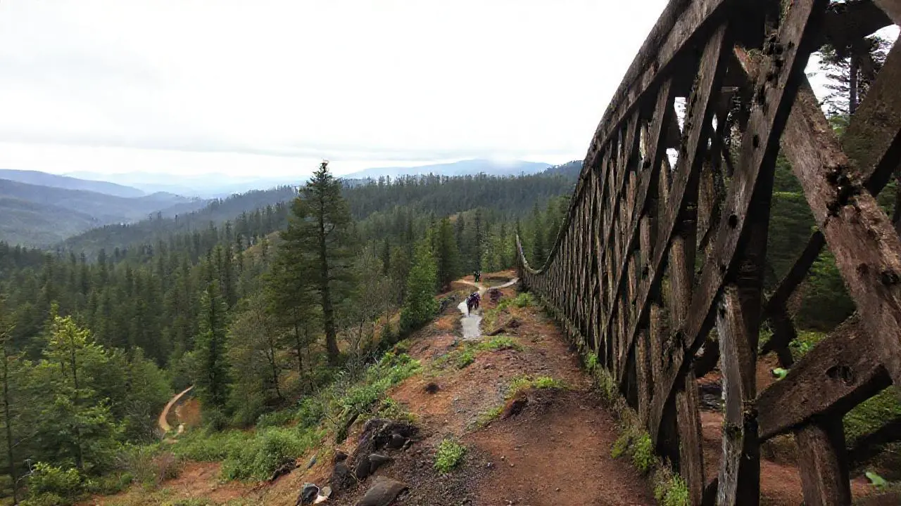 Paisaje boscoso, tranquilo y difuso