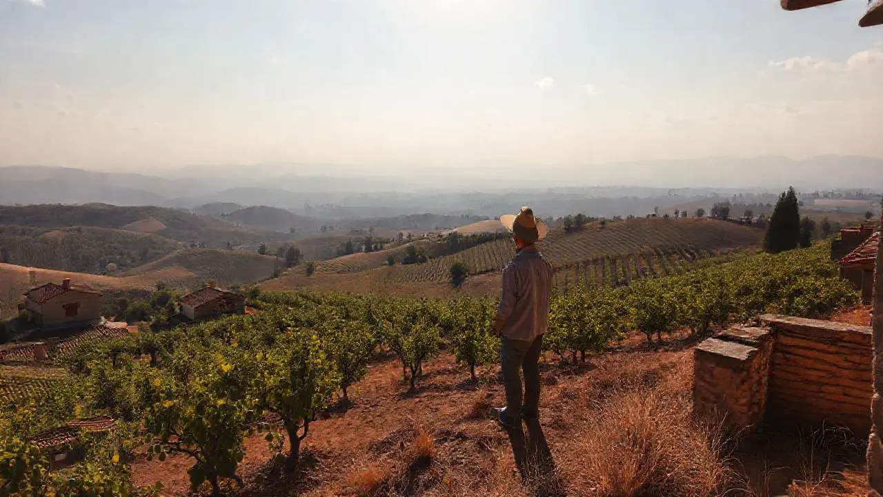 Paisaje rural, tranquilo y soleado