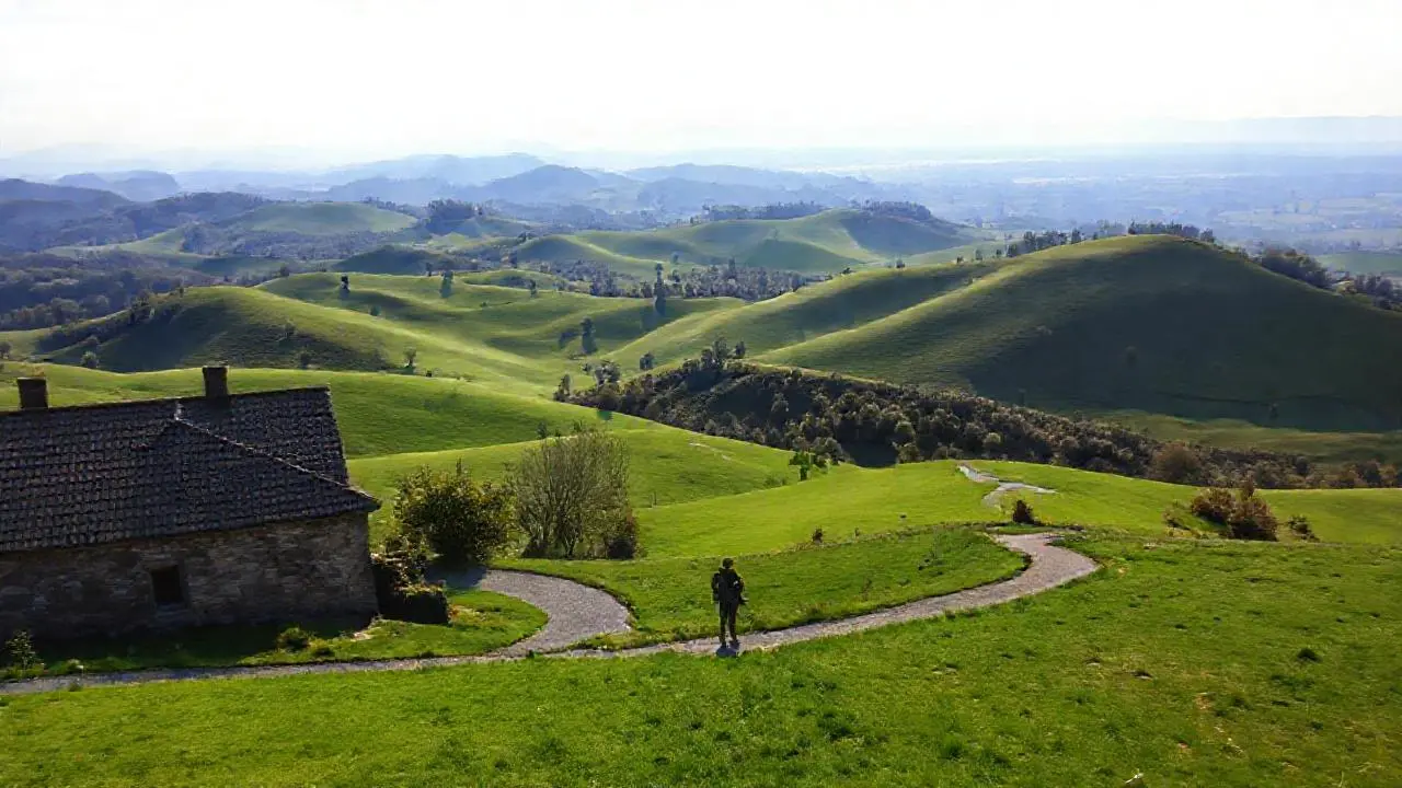 Paz natural en vasto paisaje rural