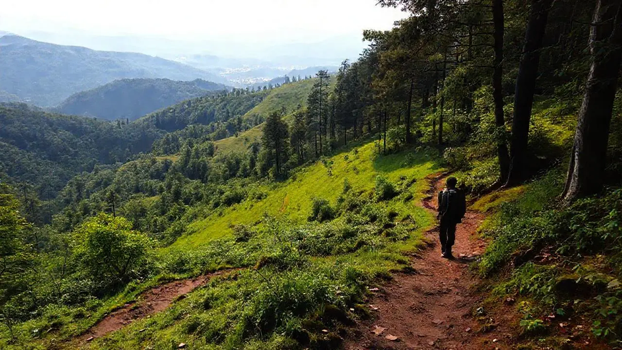 Paisaje boscoso, tranquilo y ligeramente difuminado