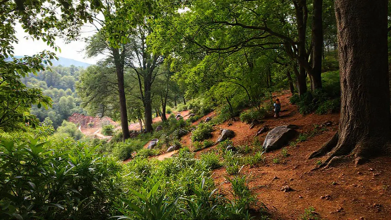Paisaje natural sereno y amplio