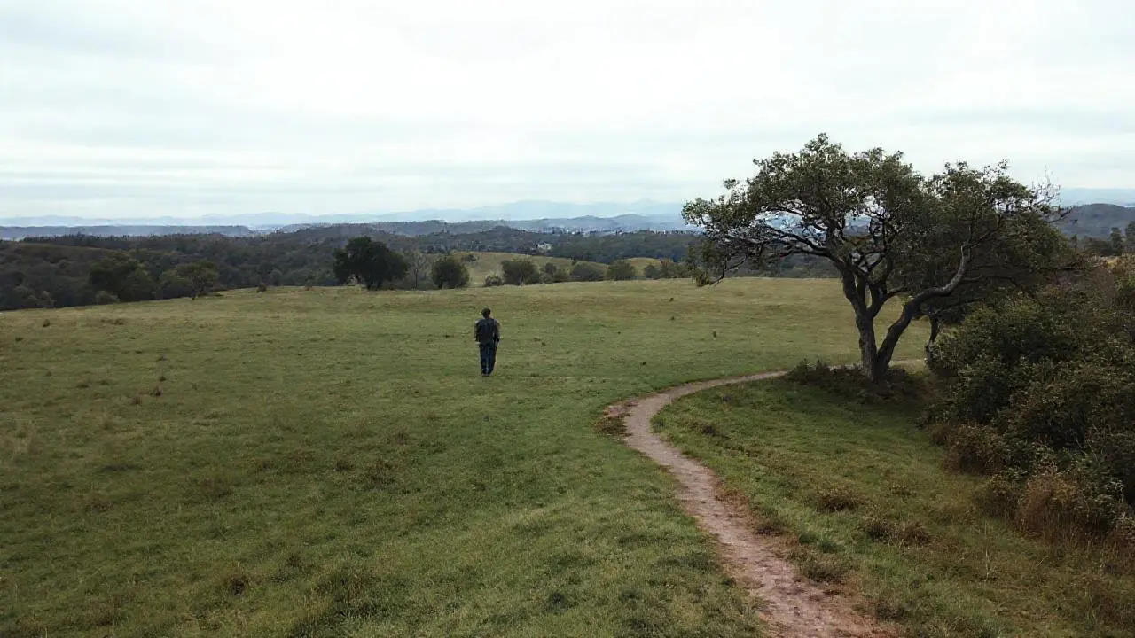 Paisaje sereno, natural y ligeramente brumoso